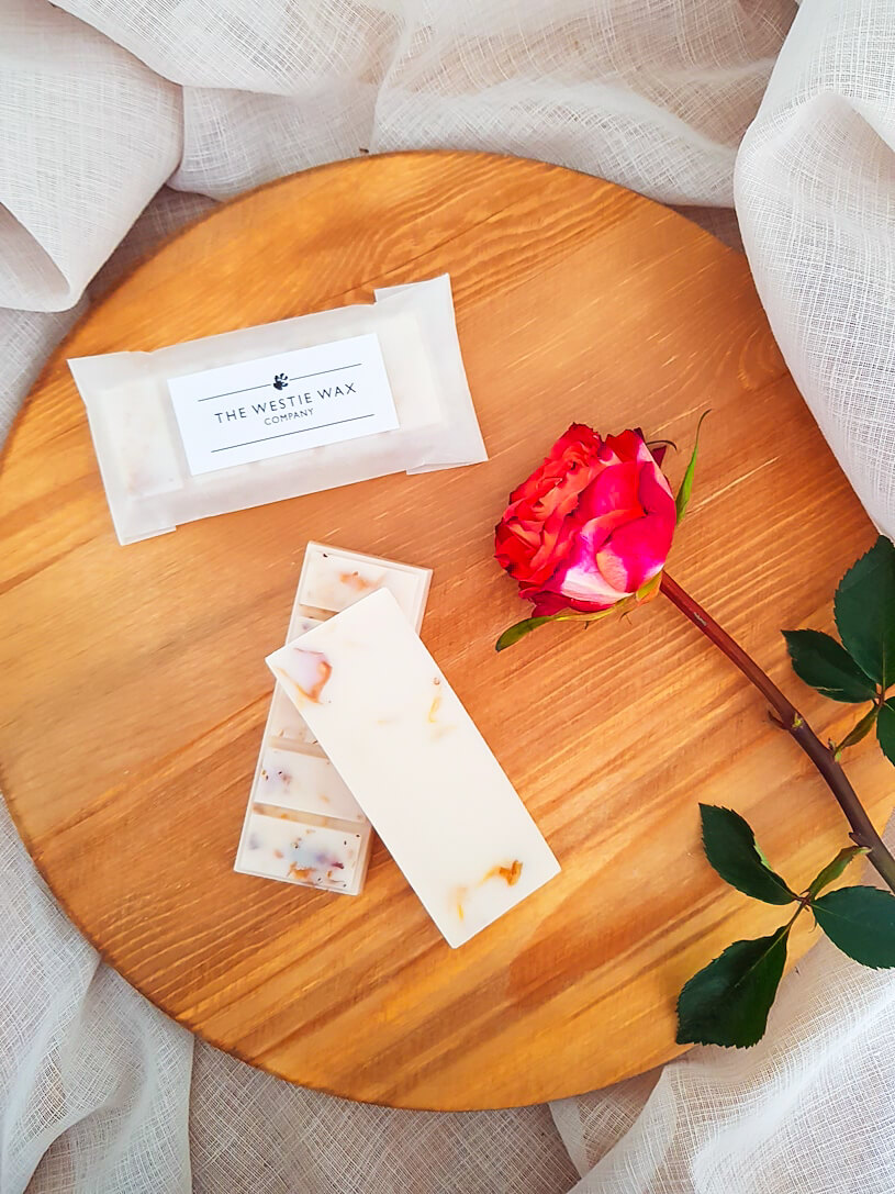 Sun Drenched Apricot and Rose