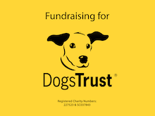 Working With Dogs Trust